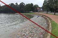 pond No more bottled water